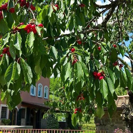 Podere Gianpaolo Пеша Экстерьер фото